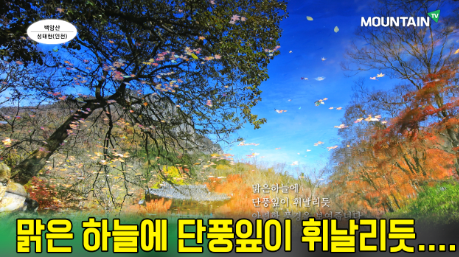 스크린샷 2020-11-26 오후 5.07.49.png