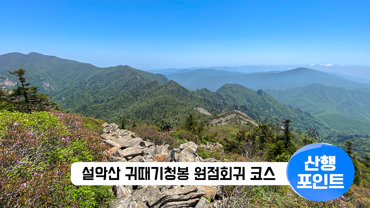 산행포인트_썸네일_81설악산.png