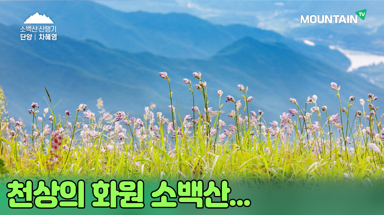 @@시청자산행기_썸네일_86소백산.png